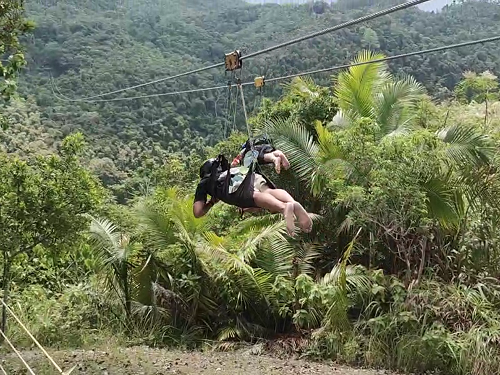 可自費加購活動：空中飛人 (Zip Line) - 加購價 NT$ 500/位